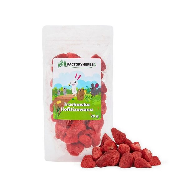 Alimento para Coelhos Factoryherbs Freeze-dried strawberries Frutas Chinchila Cobaia Hamster Ratazana Rato Roedores Páss
