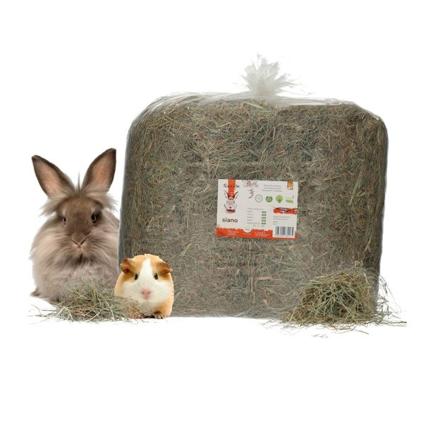 Alimento para Coelhos Recek Chinchila Cobaia Hamster Ratazana Rato Roedores Pássaros 4 Kg