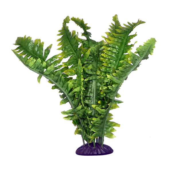 Decoração Planta - Boston Fern - 36Cm